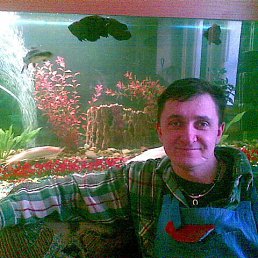 ���, ���������