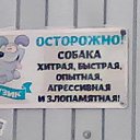 ���� ���-�� �������, ������, 47 ��� - ��������� 20 ������ 2016 � ������ ������ ��������