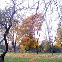 ���� ��������, ������, 50 ��� - ��������� 28 ������� 2015 � ������ �my city�