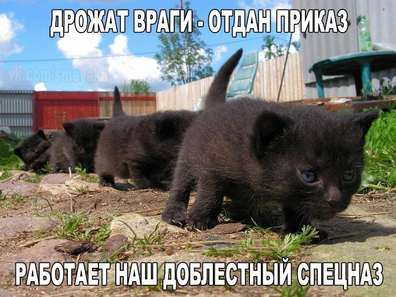 ������ �� ��� :D - 18 ������ 2016 � 03:01