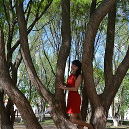 ���� �������, �������, 51 ��� - ��������� 25 ������� 2015