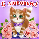 ���� �������, ���������� - ��������� 22 ������ 2016