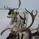 ���� ������, �������� - ��������� 11 ������� 2015 � ������ ���� ����������