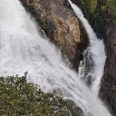 .  2015.   (304 ).    ,2015