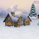  ,   -  25  2015   Tropikania