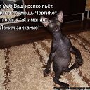 ���� ������, ������-��-����, 53 ���� - ��������� 2 ������� 2016 � ������ ���� ����������