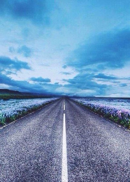 ...������...����...� ����� ���� - 5