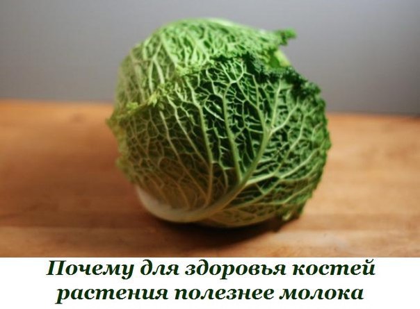 Почему для здоровья костей растения полезнее молока и 20 растительных источников кальция.Самый ...