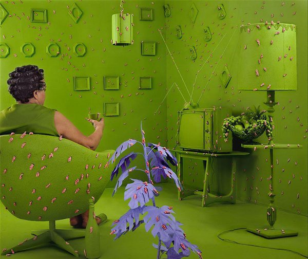   Sandy Skoglund   1946    ,  .  1973 ... - 10