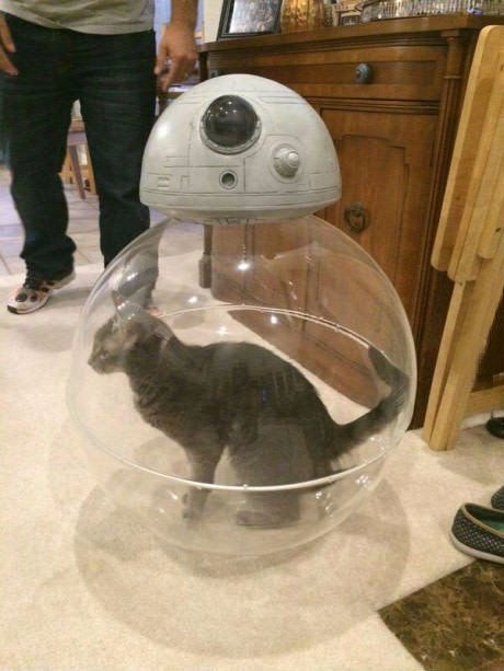      BB-8