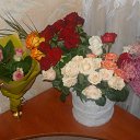 ���� �������, �������� - ��������� 3 ����� 2016 � ������ ���� ����������