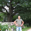 ���� ���������, ��������, 65 ��� - ��������� 6 ������� 2016 � ������ ���� ����������