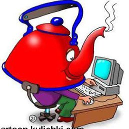 ���� Ը���, ����������-��-�����, 69 ��� - ��������� 7 ������� 2016