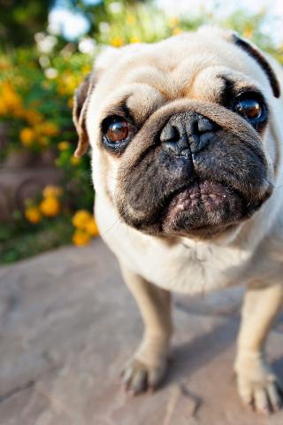   - 4  2016  17:04 - 8