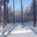 ���� ������, �����, 52 ���� - ��������� 26 ������ 2016 � ������ ���� ����������