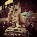 ���� ����, �������, 37 ��� - ��������� 13 ������ 2015 � ������ ���� ����������