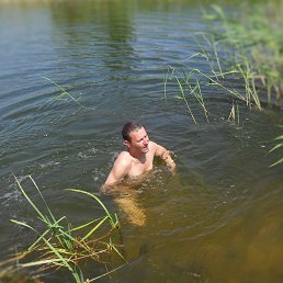 ������, ������������, 44 ����