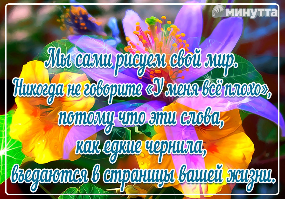 Svetlana - 9 ����� 2016 � 16:10