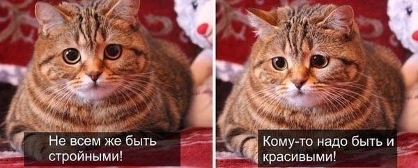   - 6  2016  16:12
