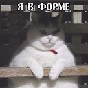 ���� Solnze, �������, 45 ��� - ��������� 28 ������ 2016 � ������ ���� ����������