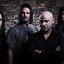 Disturbed    