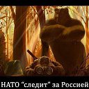 ���� Andrey, ���������, 63 ���� - ��������� 7 ������� 2016 � ������ ���� ����������