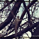  , , 32  -  11  2016   Amateur Photographer-Orxan Abdullazade