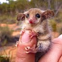 ���� ����� �������, ������-��-����, 49 ��� - ��������� 12 ������ 2015 � ������ ���� ����������