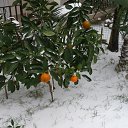 "������" �� �����))) �� ������� �������� 2015�
