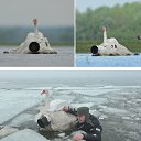 ���� ���������, ���������, 71 ��� - ��������� 14 ������� 2015 � ������ ������� ...�