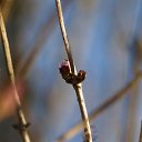 ��-�� ���-�� ��� ������� �� ������� �������