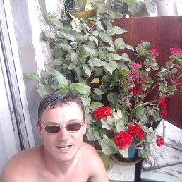 �������, ����, 48 ���