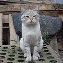 ����� ���,������ ������� �� ������� ���� ����������