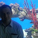 ���� �������, ������, 51 ��� - ��������� 20 ������ 2015 � ������ ����������� 11.11.15�