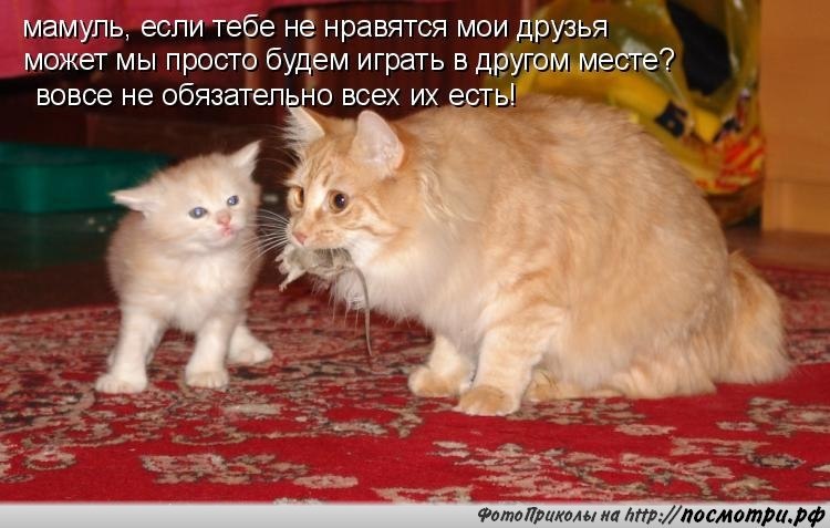       - 10  2016  16:30