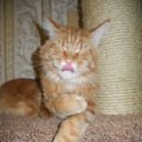 ���� ������, ��������, 50 ��� - ��������� 3 ������� 2015 � ������ ���� ����������