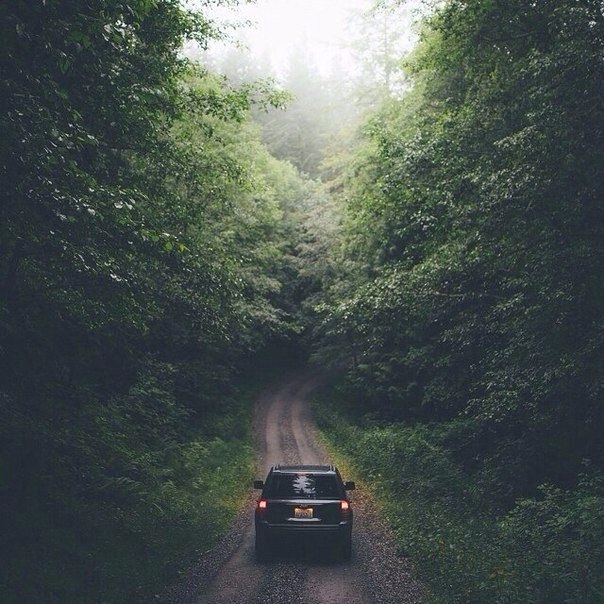 Нет времени лучше осени, чтобы приступить к забыванию всего, что томит и тревожит. Надо стрясти с ...