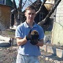 ���� ��������, ��������, 31 ��� - ��������� 29 ������ 2015 � ������ ���� ����������