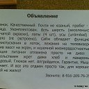 ���� Sergei, ���������, 34 ���� - ��������� 10 ������� 2015 � ������ ���� ����������