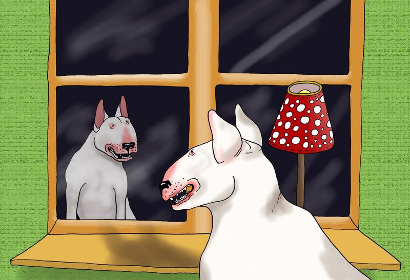 Приключения бультерьера Лены из Швеции=D - 9