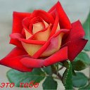 ���� ��������, ��������, 67 ��� - ��������� 24 ������ 2016 � ������ ���������