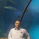 ���� �������, ������, 51 ��� - ��������� 20 ������ 2015 � ������ ����������� 11.11.15�