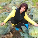 ���� ����� ����������, ������, 65 ��� - ��������� 9 ������� 2015 � ������ ����������_������� ����=�����