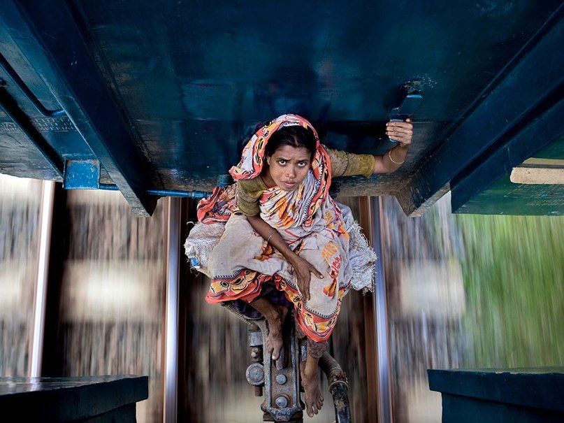   National Geographic   2011 