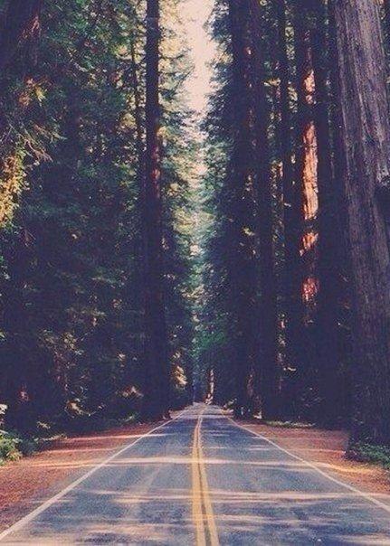 ...������...����...� ����� ����