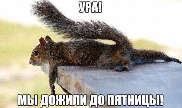    :D - 18  2015  08:15