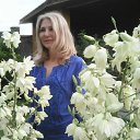 ���� �����, ������, 64 ���� - ��������� 20 ������� 2015 � ������ ������ ��������