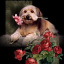 ���� Dejan, ������� - ��������� 7 ����� 2016 � ������ ���� ����������