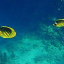  , , 59  -  16  2015    Ż