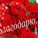 ���� ����� �����������, �����, 47 ��� - ��������� 1 ������ 2015 � ������ ���� ����������